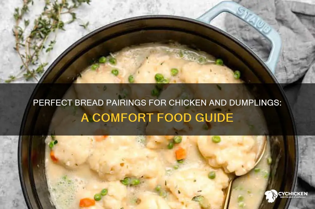 what bread goes with chicken and dumplings