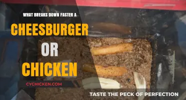 Cheeseburger vs. Chicken: Which Fast Food Decomposes Quicker?