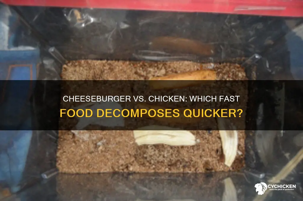 what breaks down faster a cheesburger or chicken