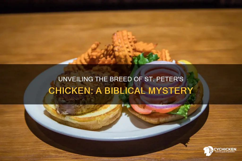 what breed is the chicken of st peter