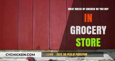 Common Grocery Store Chicken Breeds: What You're Actually Buying