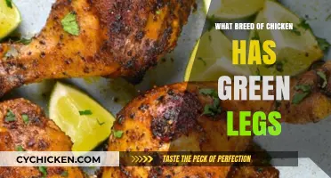 Discovering the Unique Chicken Breed with Striking Green Legs