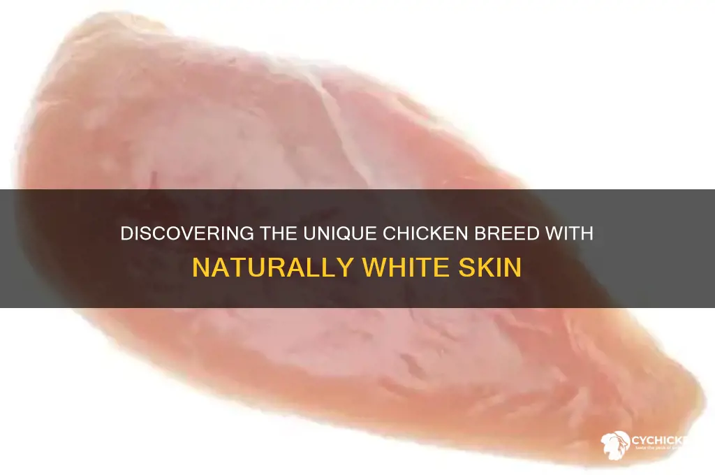 what breed of chicken has white skin