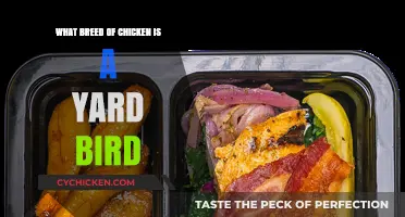 What Breed of Chicken is a Yard Bird: A Comprehensive Guide