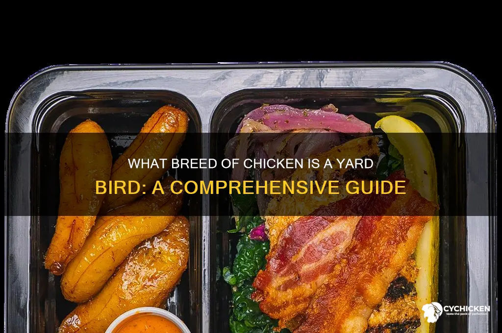 what breed of chicken is a yard bird