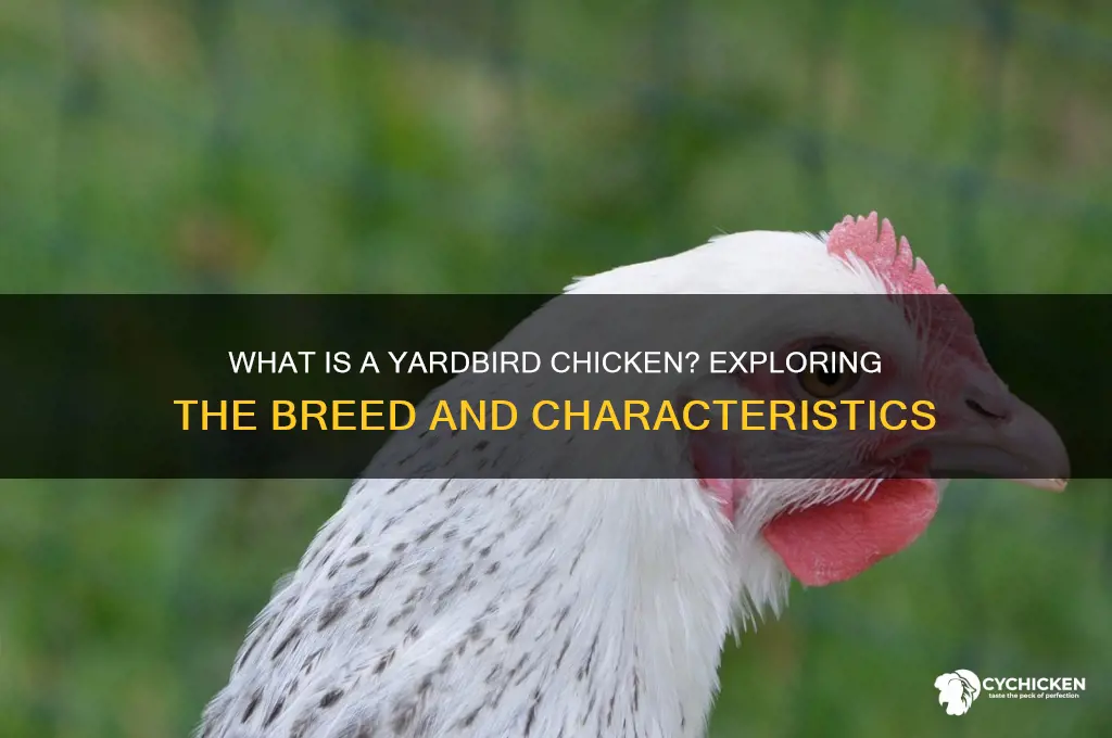 what breed of chicken is a yardbird