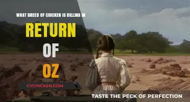Billina's Breed: A Look at Return to Oz's Chicken