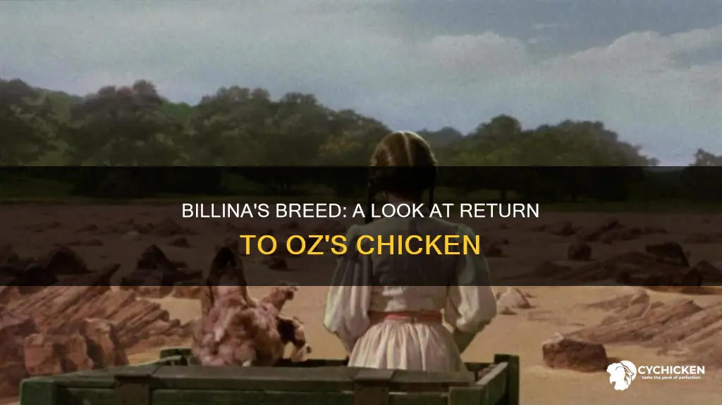 what breed of chicken is billina in return of oz