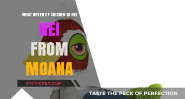 Hei Hei's Breed: Unveiling Moana's Chicken Companion