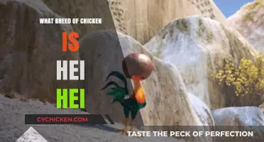 Unveiling Hei Hei's Breed: A Deep Dive into His Chicken Origins
