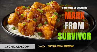 Unveiling Mark from Survivor's Chicken Breed: A Quirky Connection