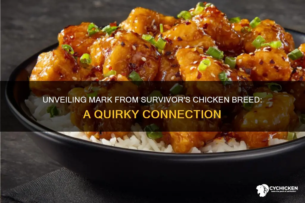 what breed of chicken is mark from survivor