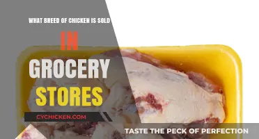 Chicken Breeds: What's Sold in Grocery Stores?