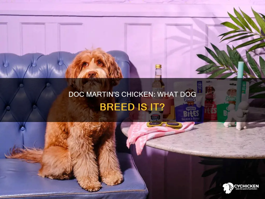 what breed of dog is chicken in doc martin