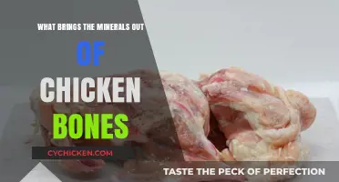 Unlocking Minerals: How to Extract Nutrients from Chicken Bones