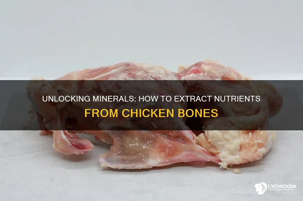 what brings the minerals out of chicken bones