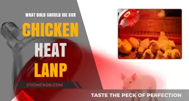 Choosing the Right Bulb for Your Chicken Heat Lamp: A Guide
