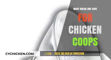 Illuminating Safety: Best Bulb Choices for Chicken Coops