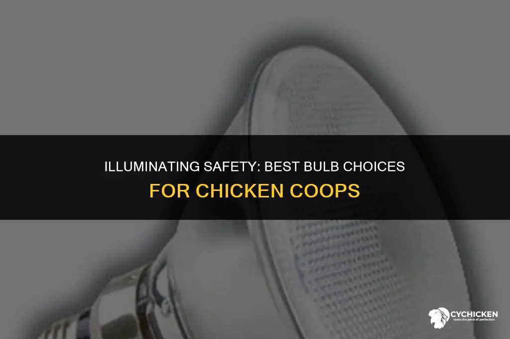 what bulbs are safe for chicken coops