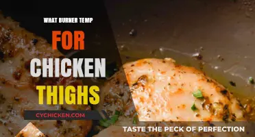 Perfect Burner Temperature for Juicy, Crispy Chicken Thighs Every Time