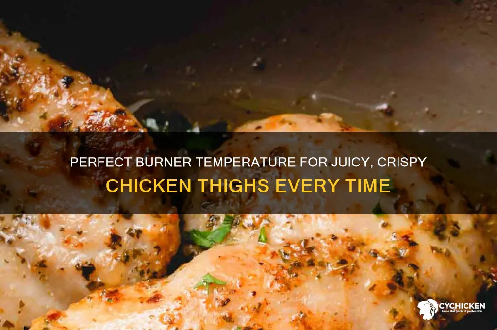 what burner temp for chicken thighs