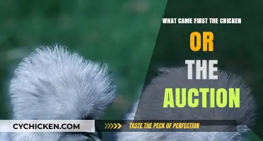 The Chicken or the Auction: Unraveling the Origins of a Classic Debate