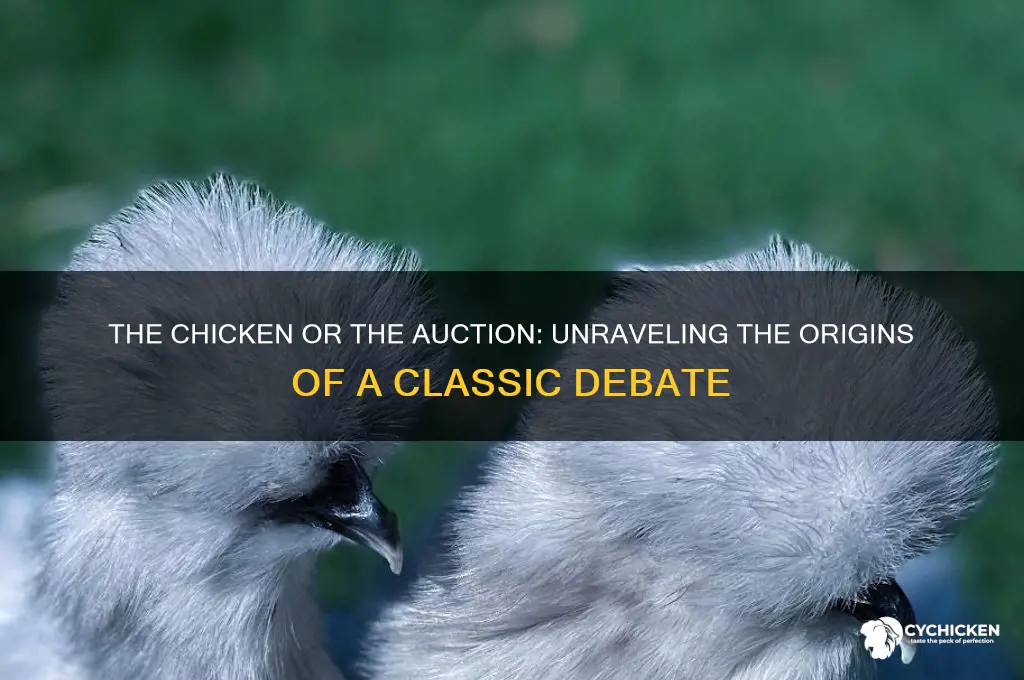 what came first the chicken or the auction