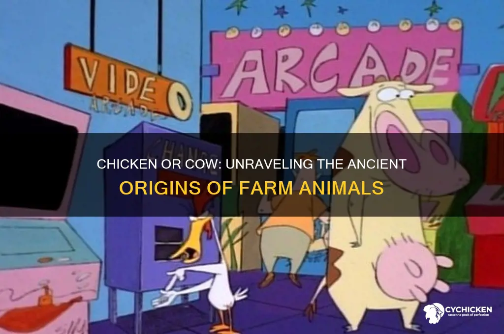 what came first the chicken or the cow