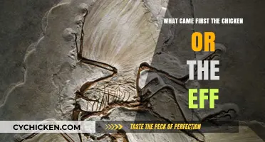Chicken or Egg: Unraveling the Timeless Riddle of Origins