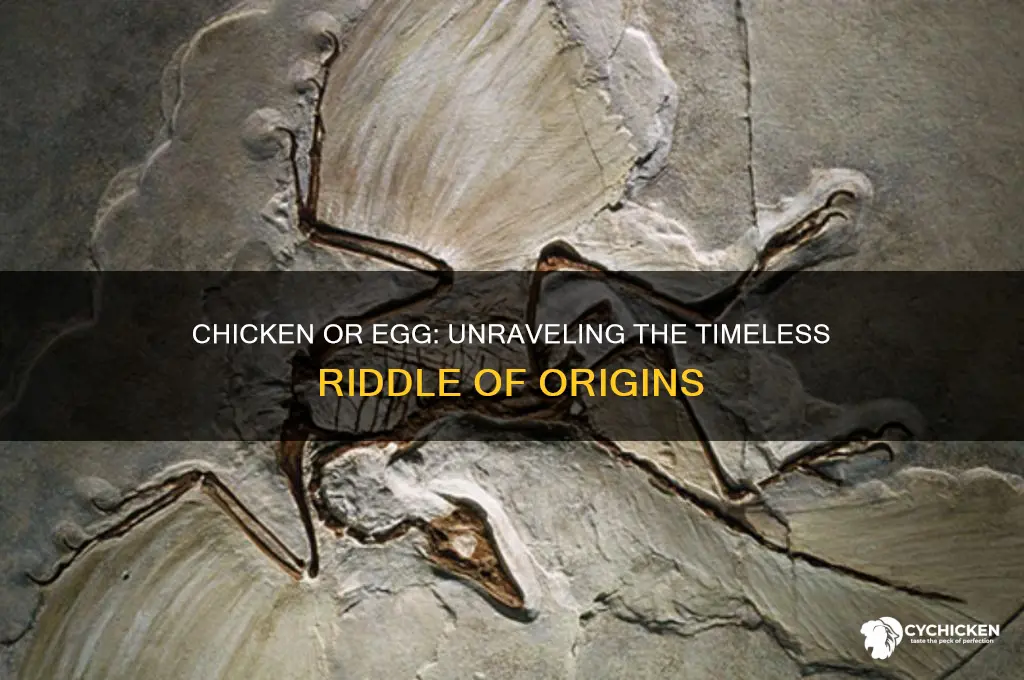 what came first the chicken or the eff