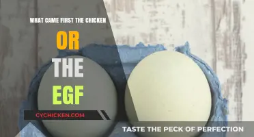 Chicken or EGF: Unraveling the Origin of Life's Timeless Debate