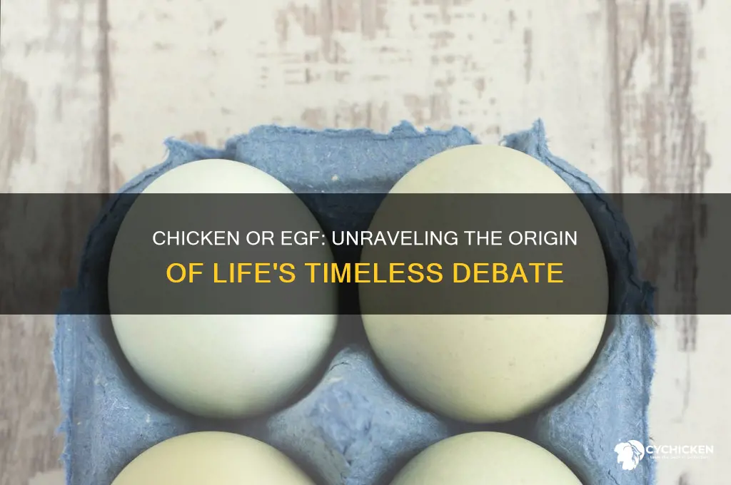 what came first the chicken or the egf