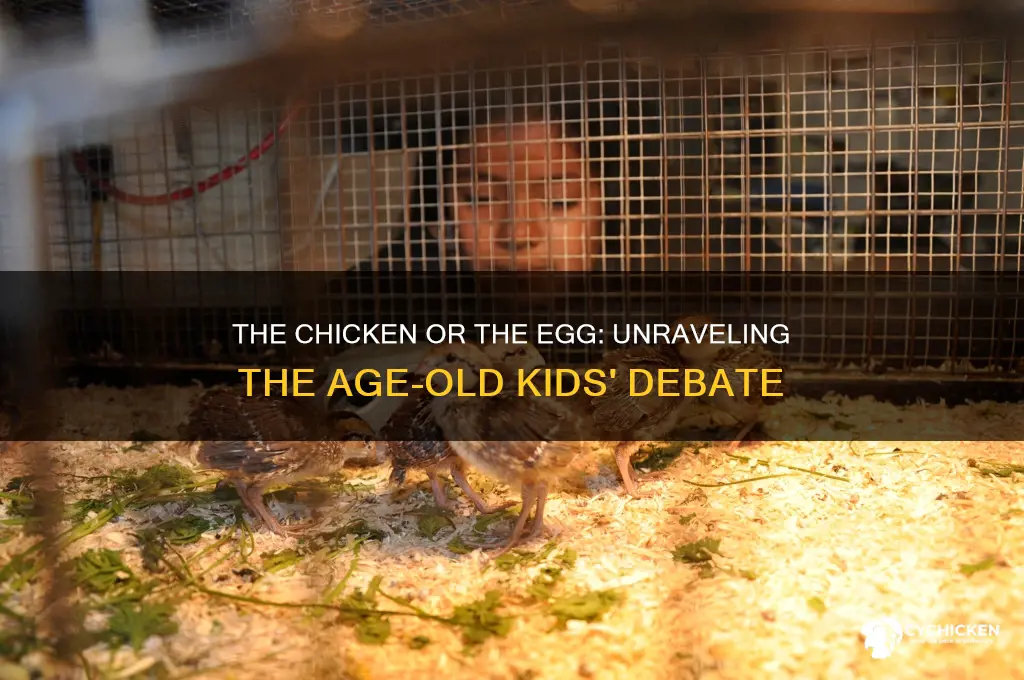 what came first the chicken or the eggkids