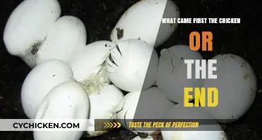 The Chicken or the End: Unraveling the Timeless Paradox of Origins