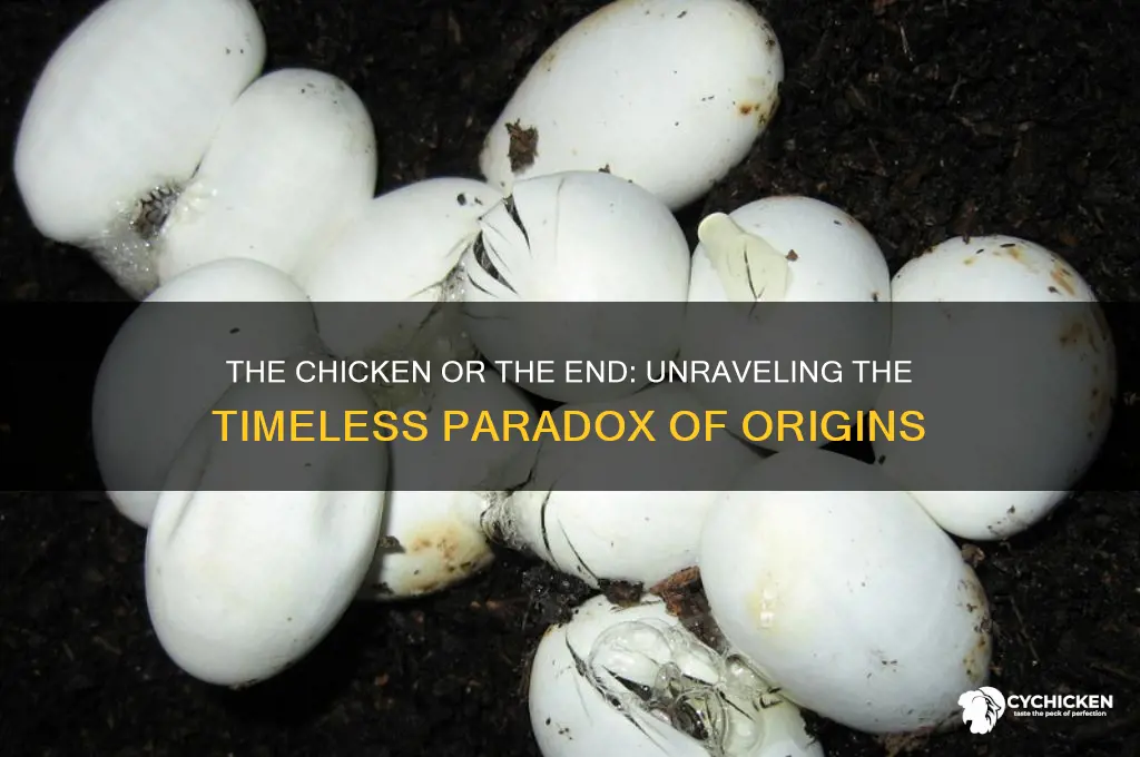 what came first the chicken or the end