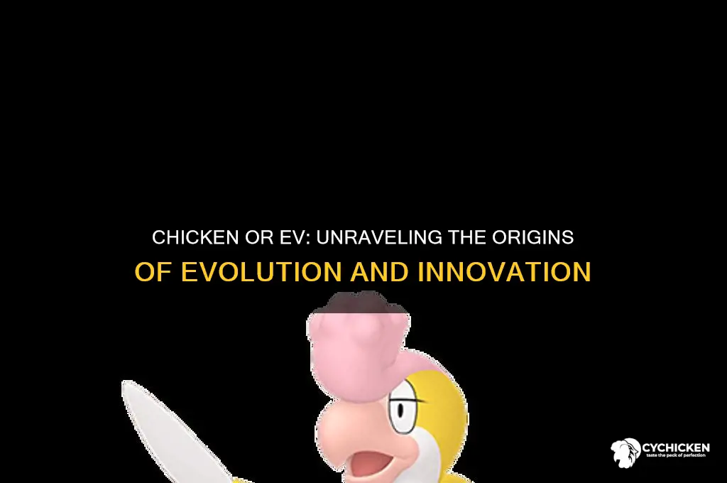 what came first the chicken or the evg