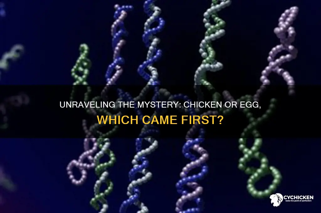 what came first the chicken or the gg