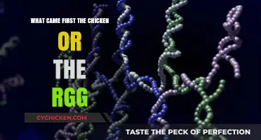 Chicken or Egg: Unraveling the Timeless Riddle of Origins