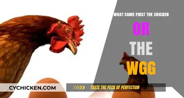 The Chicken or the Egg: Unraveling the Timeless Evolutionary Mystery