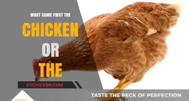 The Chicken or the Egg: Unraveling the Timeless Evolutionary Mystery