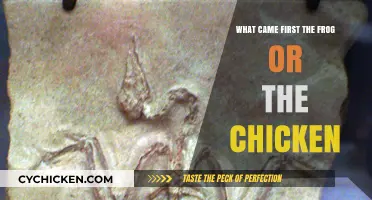 Frog or Chicken: Unraveling the Ancient Evolutionary Mystery of Origins