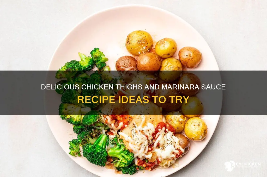 what can be made with chicken thighs and marinara sauce