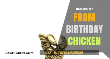 Unique Birthday Chicken Gifts: Creative Ideas for Every Celebration