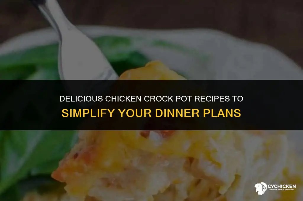 what can i cook in crock pot with chicken