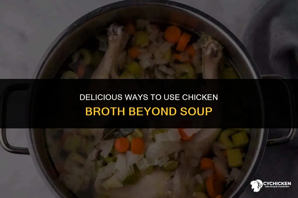 what can i do with a can of chicken broth