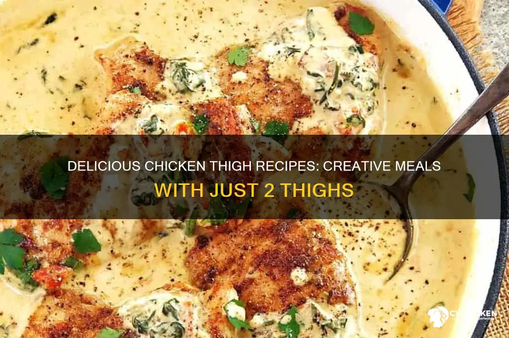 what can i make with 2 chicken thighs
