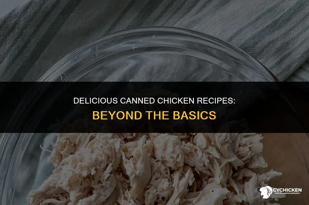 what can i make with canned chicken and chicken broth
