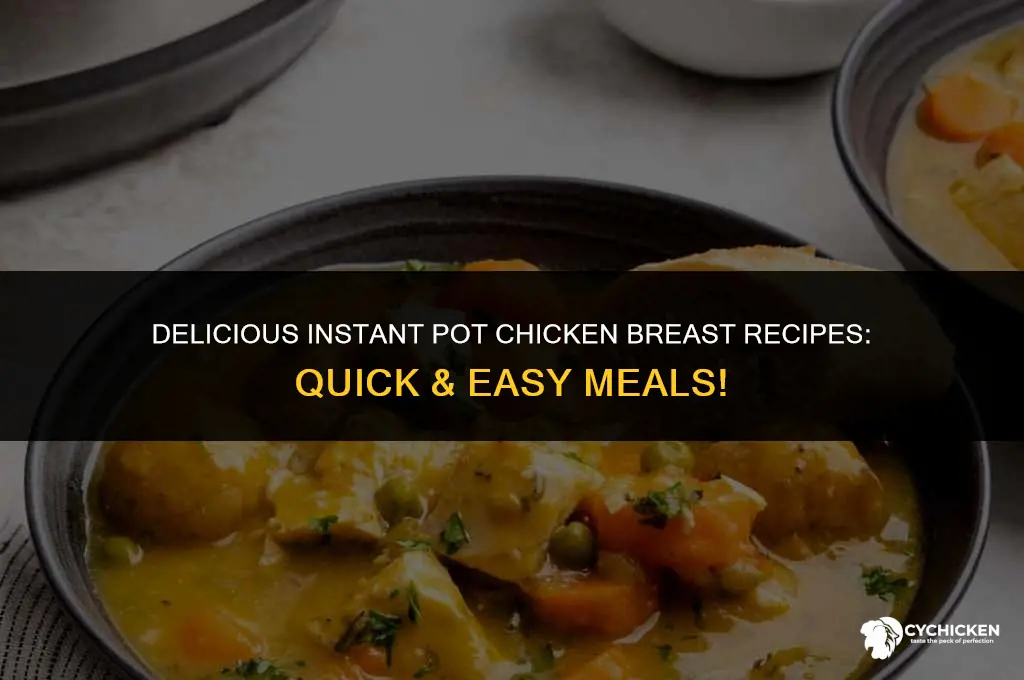 what can i make with chicken breasts in instant pot