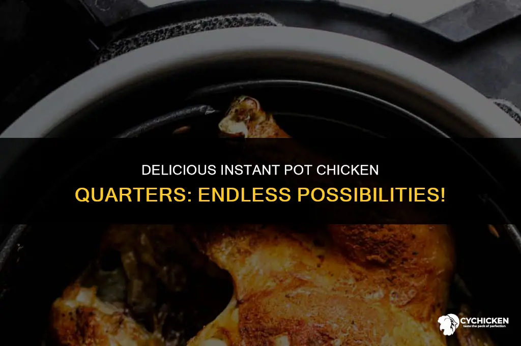 what can i make with chicken quarters instant pot