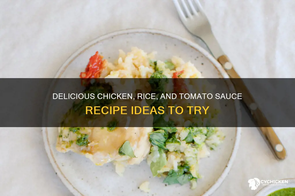 what can i make with chicken rice and tomato sauce